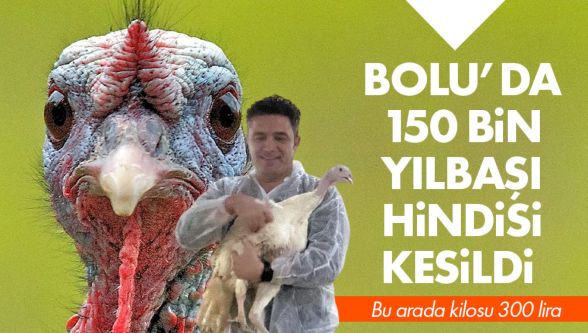 Bolu 150 bin yılbaşı hindisi kesildi