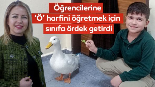 Sınıfa civciv, ördek getirerek harfleri öğretti