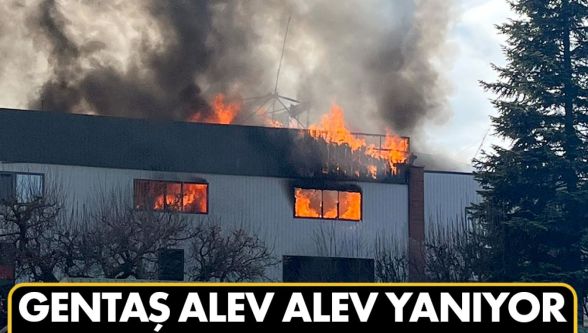 Gentaş fabrikasında feci yangın