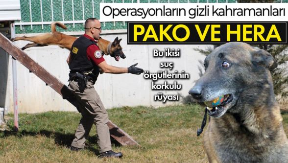 İşte Bolu'daki operasyonların 2 kilit ismi: Pako ve Hera