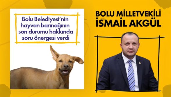 Milletvekili İsmail Akgül bakan Yumaklı'ya hayvan barınağını sordu