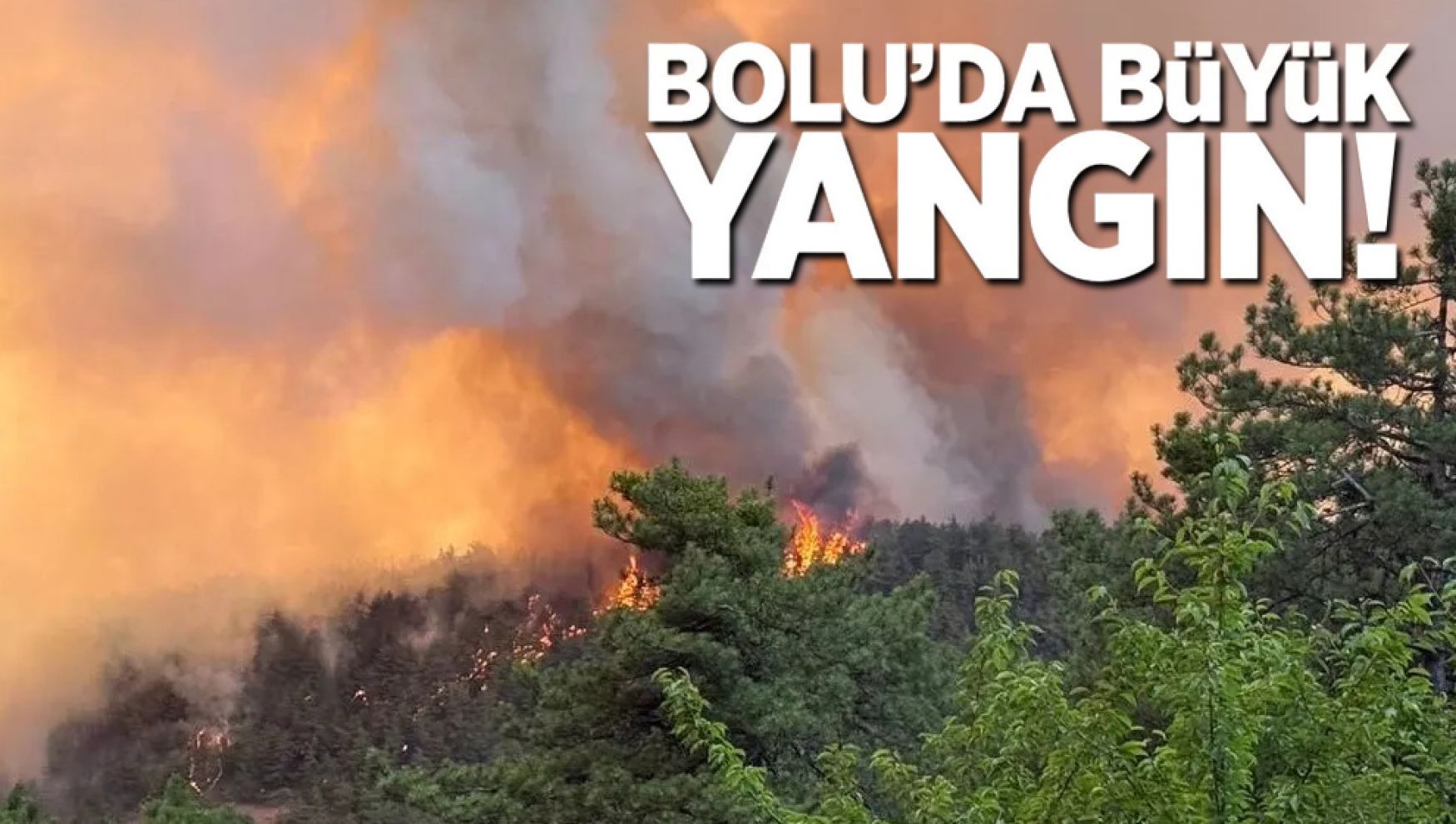 Göynük'te orman yangın kontrol altına alındı
