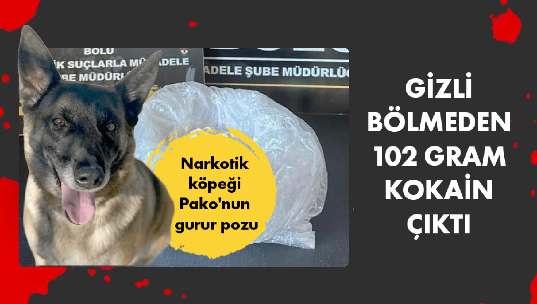 Bolu'da aracın gizli bölmesinden 102 gram kokain çıktı