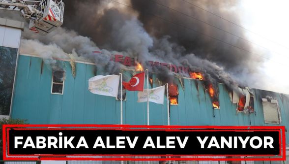 Bolu'da medikal fabrikasında yangın çıktı