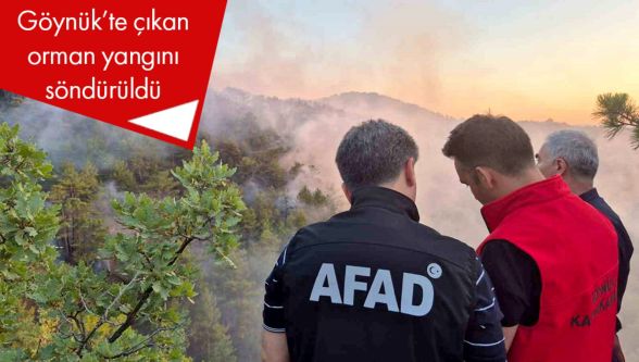 Bolu'daki orman yangını kontrol altına alındı