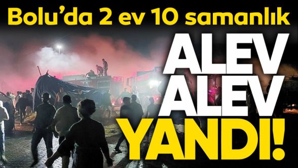 Bolu'da feci yangın: 2 ev ile 10 samanlık alevlere teslim oldu