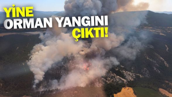 Bolu'da yine orman yangını başladı