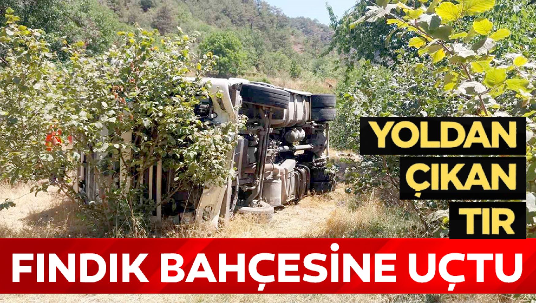 Bolu'da kontrolden çıkan tır fındık bahçesine devrildi