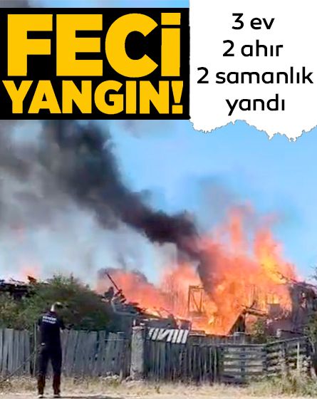 Bolu'da alevler önüne gelen yapıyı küle çevirdi: 3 ev, 2 ahır, 2 samanlık yandı