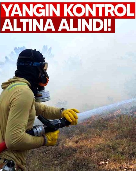 Bolu'da çıkan orman yangını kontrol altına alındı