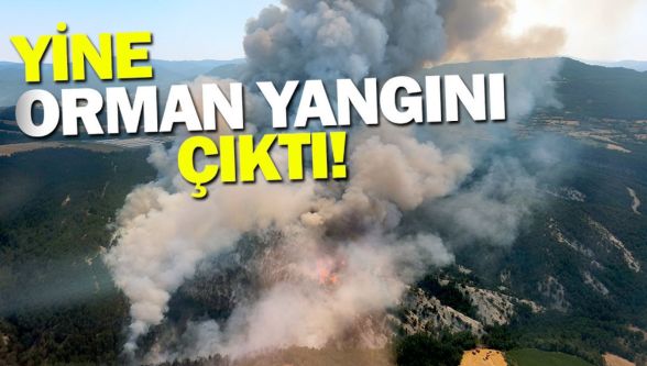Bolu'da yine orman yangını başladı
