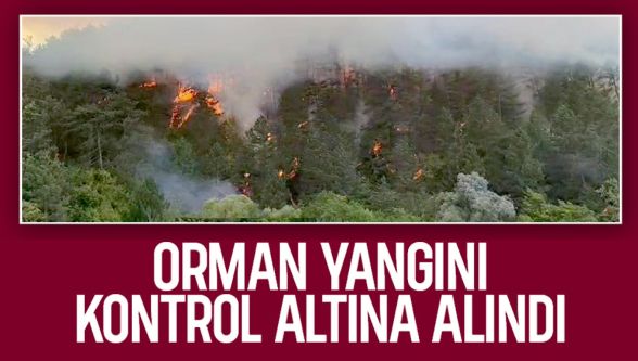 Bolu'da çıkan orman yangını kontrol altına alındı