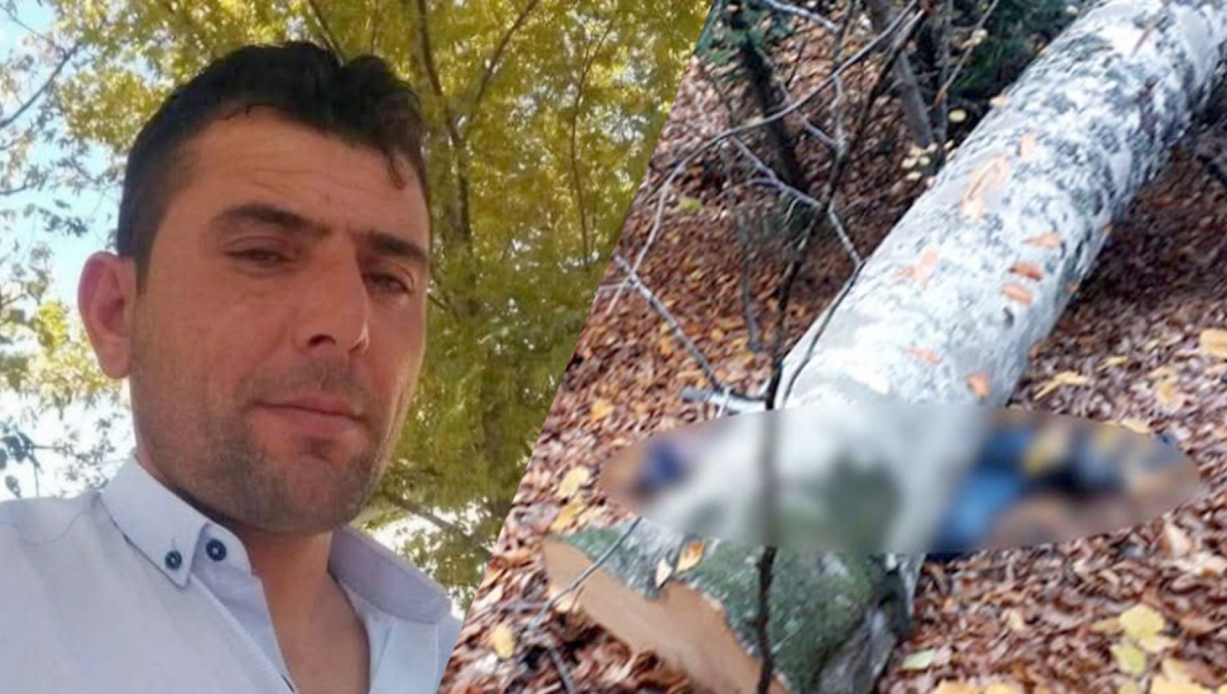 Ağacın altında kalan orman işçisi hayatını kaybetti