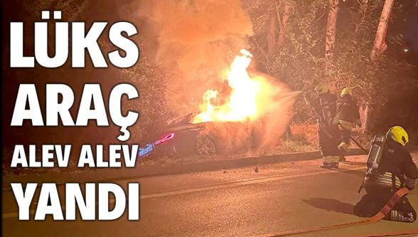 Kontrolden çıkan lüks araç ağaçlara çarparak alev alev yandı