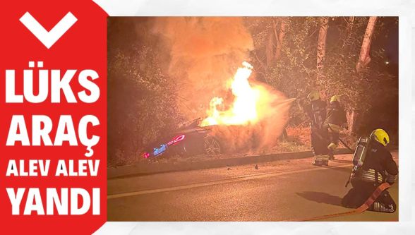 Kontrolden çıkan lüks araç ağaçlara çarparak alev alev yandı