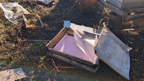 Bolu'da aç kalan ayı arı kovanlarını parçaladı