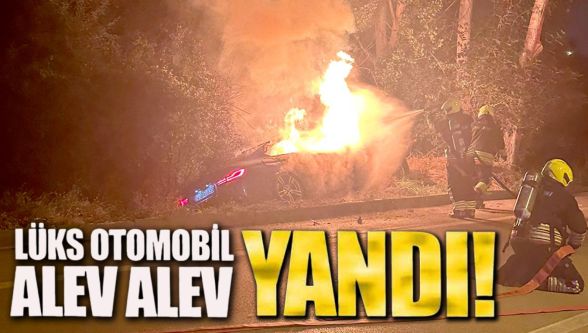 Kontrolden çıkan lüks araç ağaçlara çarparak alev alev yandı