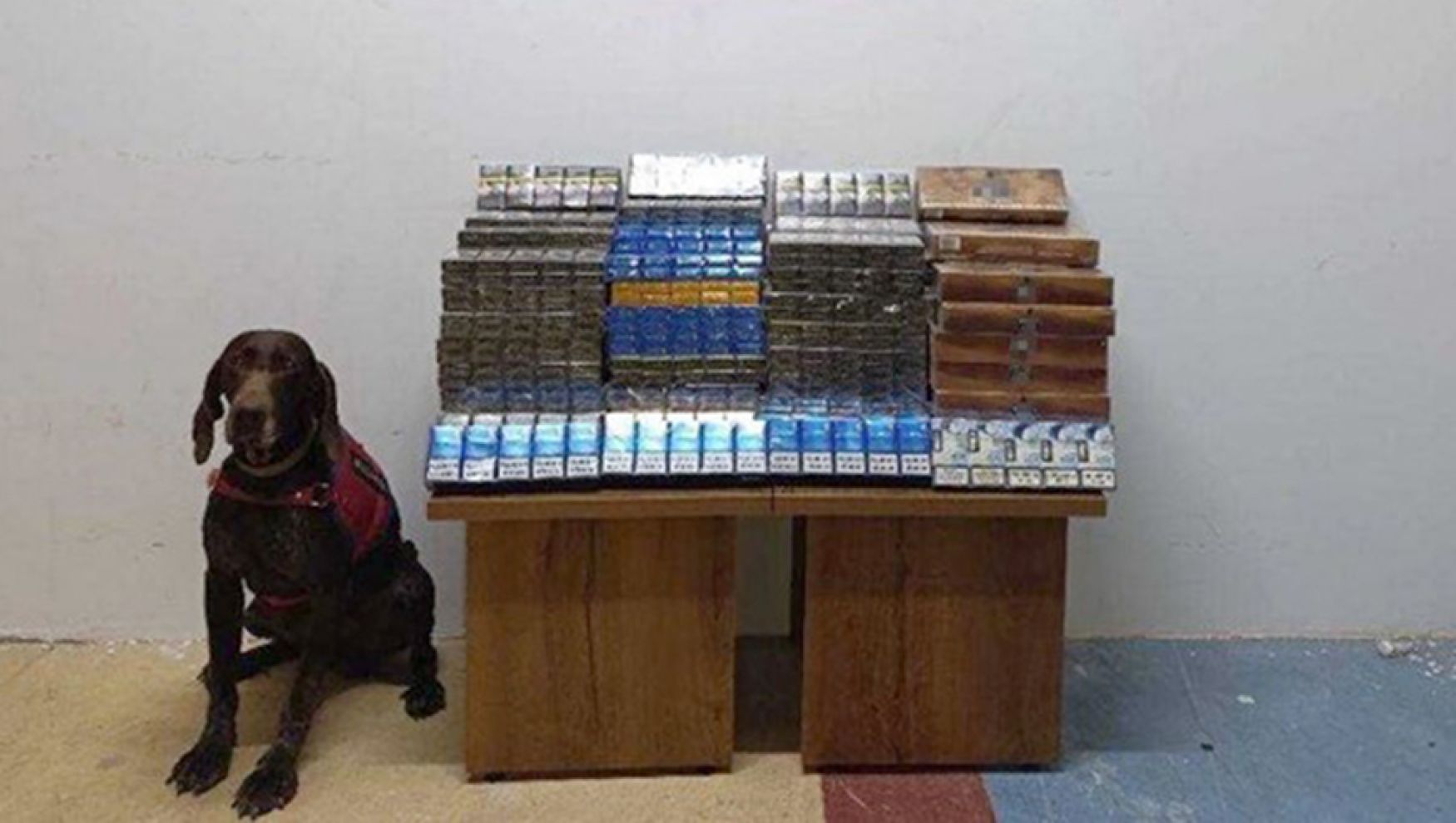 Yolcu otobüsünde bin 650 paket kaçak sigara ele geçirildi
