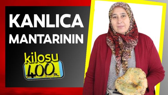 Vatandaş ormandan kova kova topladı, pazarda kilosu 400 liradan satıldı