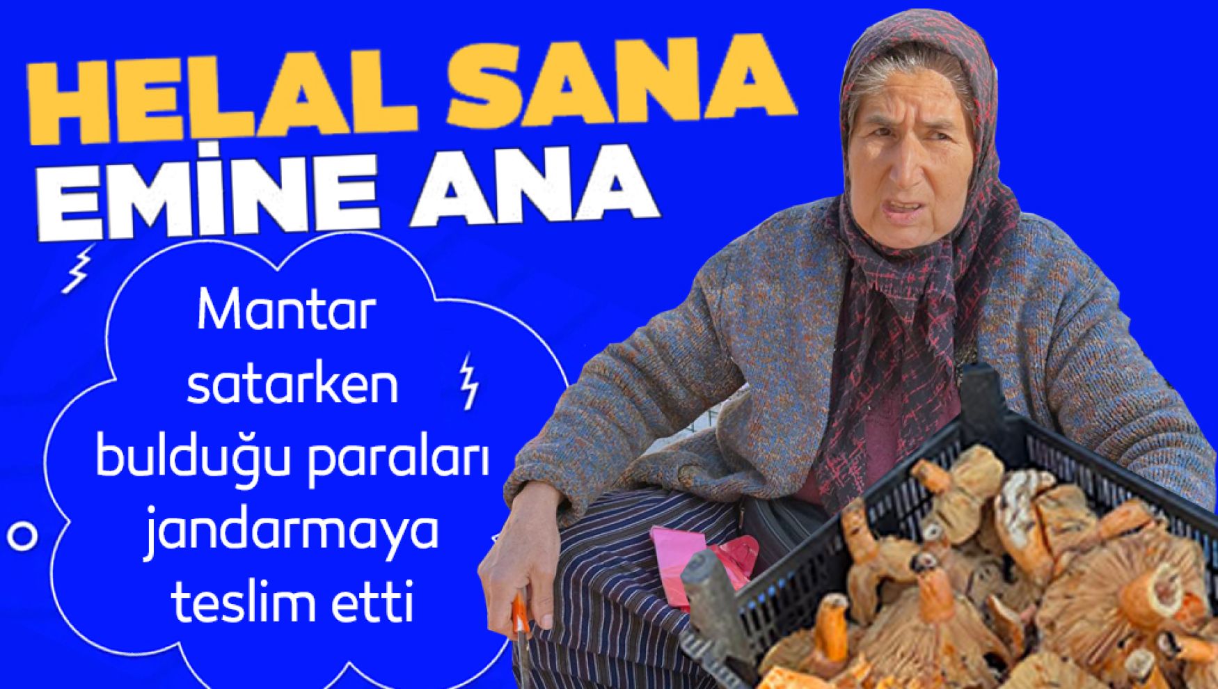 Abant Yolu'nda mantar satıcısının örnek davranışı: bulduğu 140 bin lirayı jandarmaya teslim etti