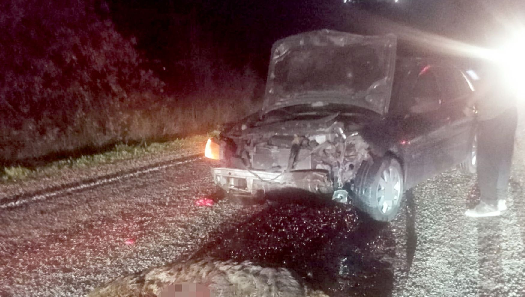 Bolu’da domuza çarpan otomobil hurdaya döndü: 1 yaralı