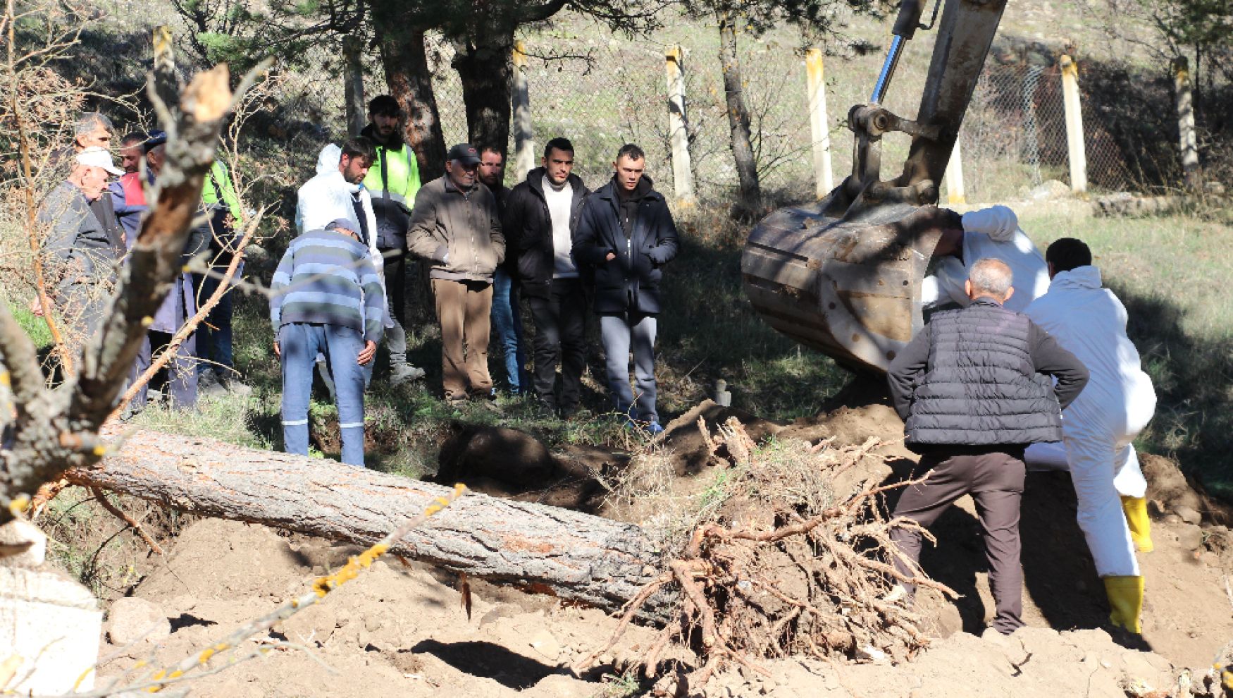 Bolu'da mezarlıklar taşınıyor: 180 kabir yeni yerine naklediliyor