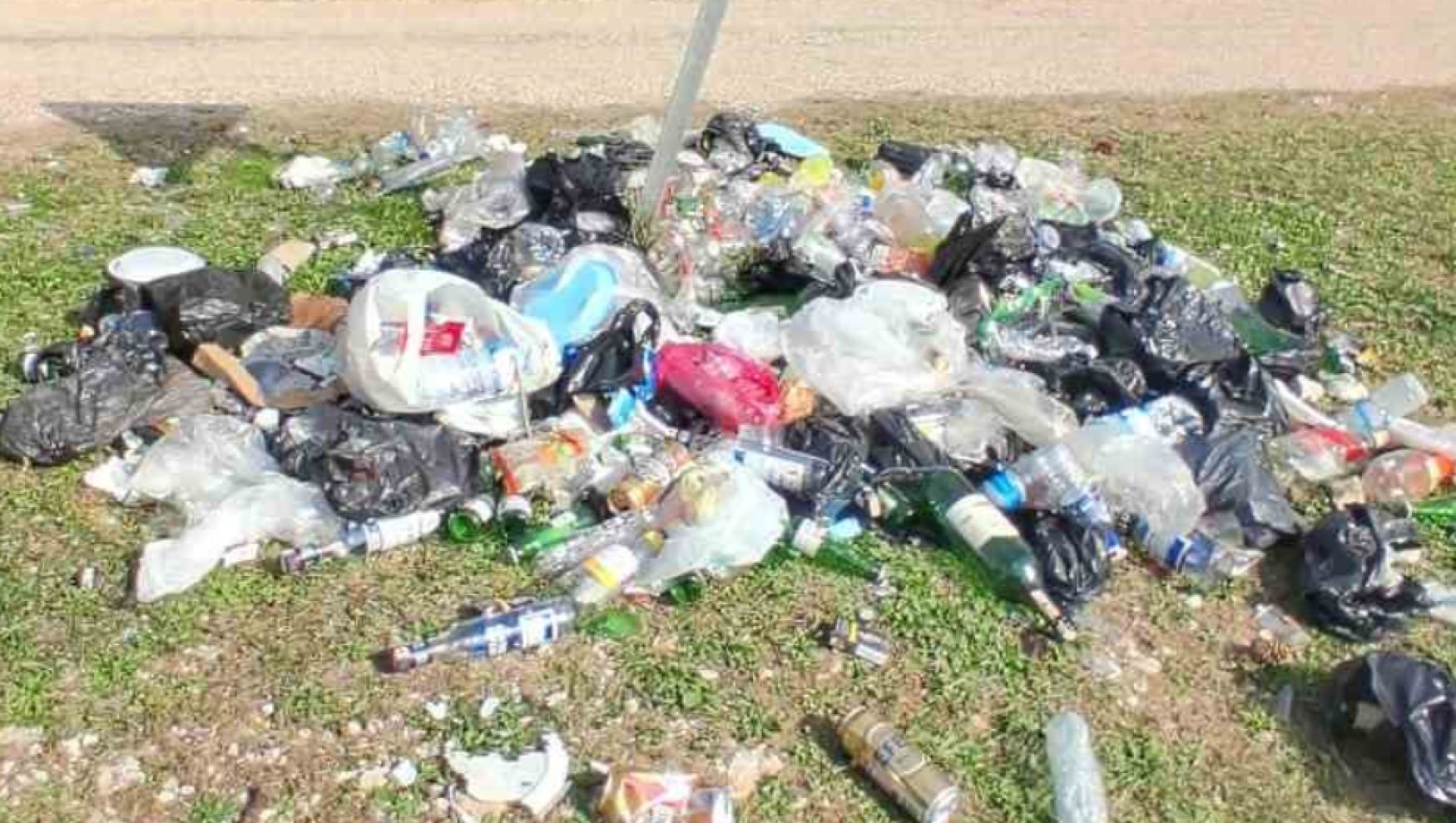 Bolu’da ormanlardan isyan ettiren görüntüler