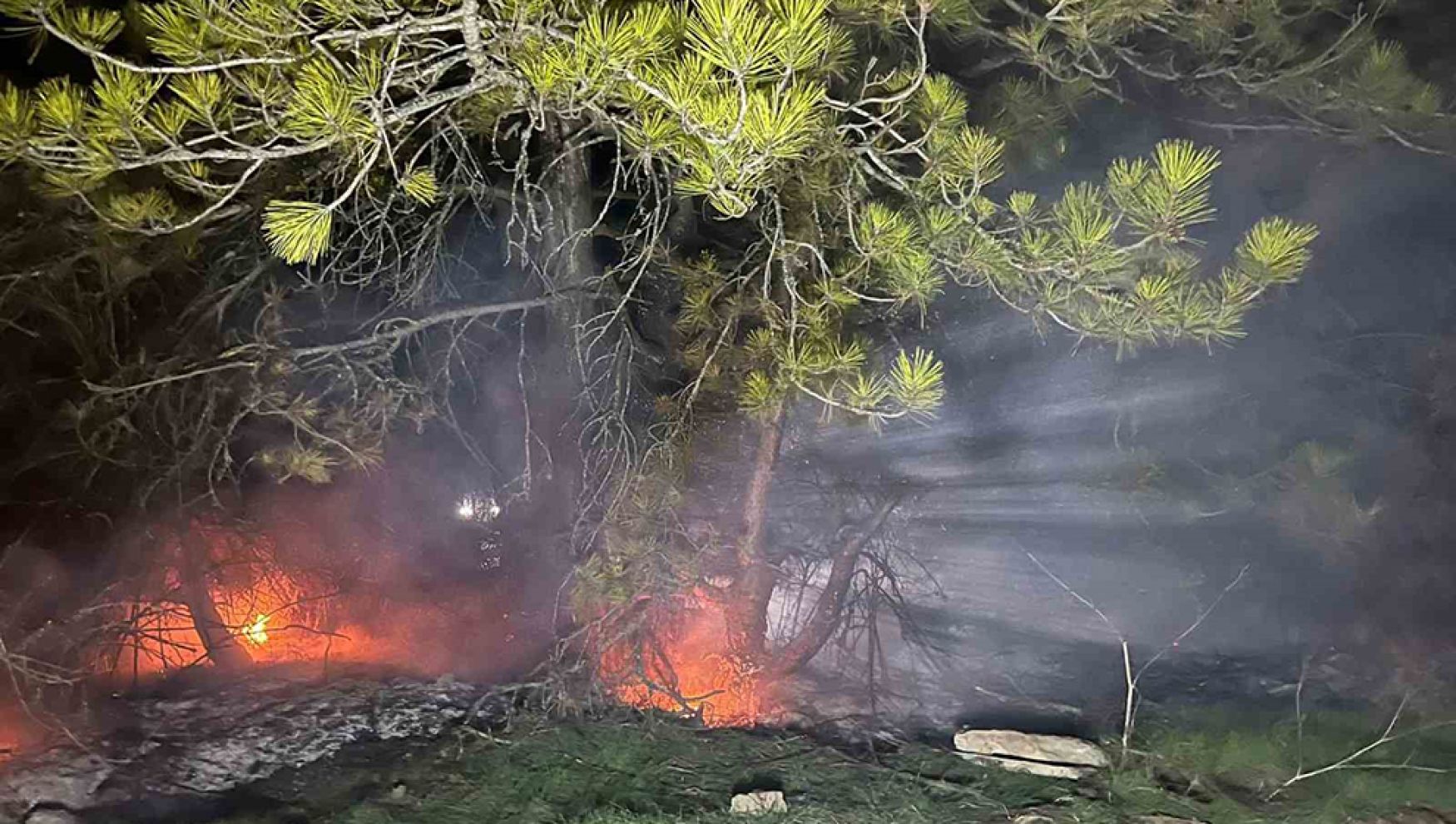 Bolu’da ormanlık alanda yangın söndürüldü