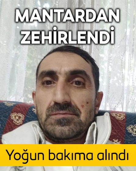 Bolu'da topladığı mantarları yiyen kişi zehirlendi