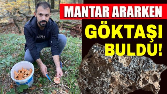 Mudurnu'da mantar ararken göktaşı buldu!