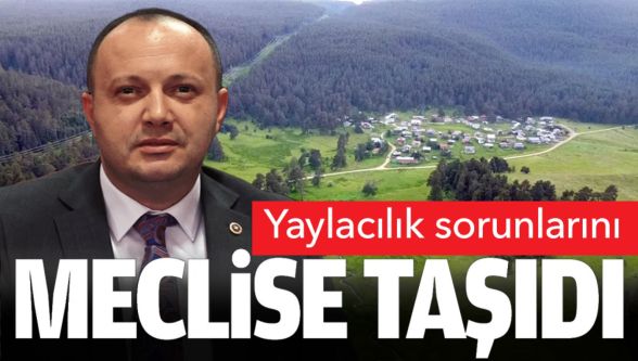 Bolu Milletvekili İsmail Akgül'den yaylacılık ve ormancılık sorunları için çağrı