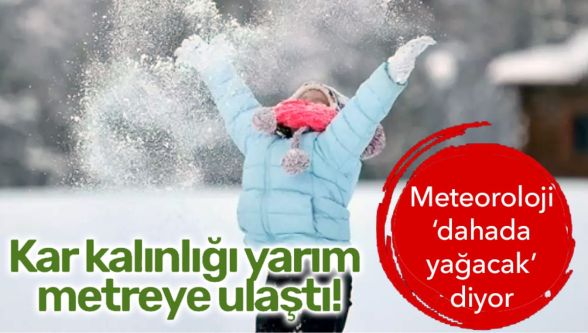 Bolu'da hayat durdu: Kar kalınlığı yarım metreyi buldu