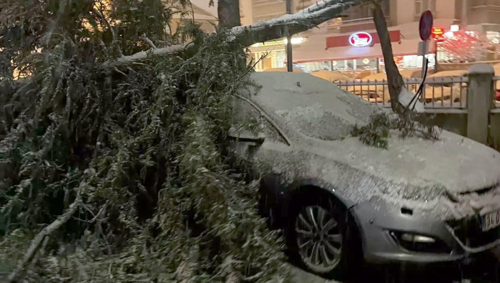 Bolu’da kar nedeniyle hastane önündeki çam ağacı devrildi