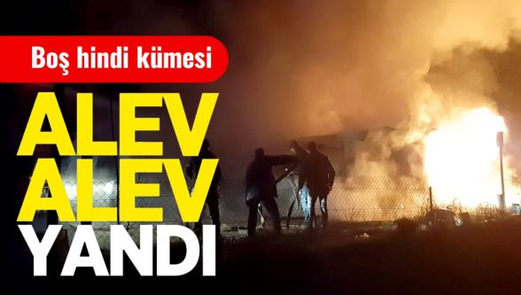 Mudurnu'da boş hindi kümesinde yangın paniği