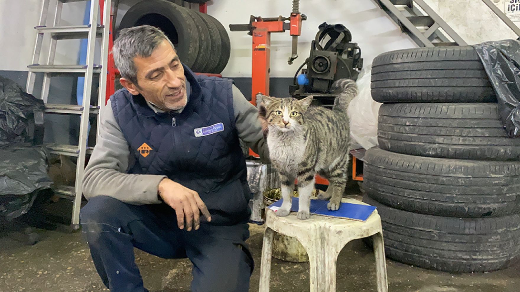 Bolu sanayisinin sevimli çırağı: Şıkkıdı görenleri gülümsetiyor