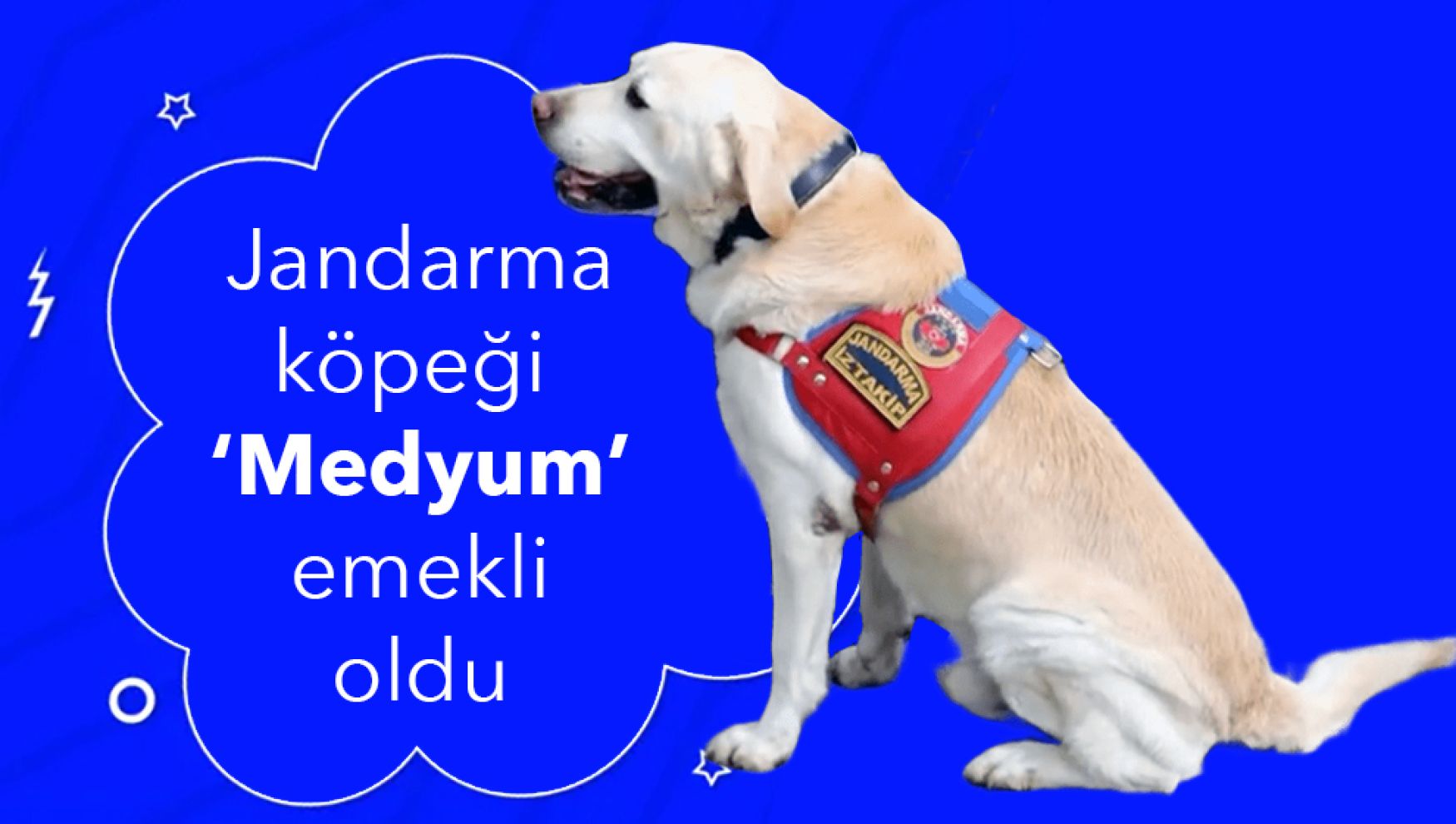 Jandarmanın hassas burnu Medyum 10 yıllık mesaisini tamamladı