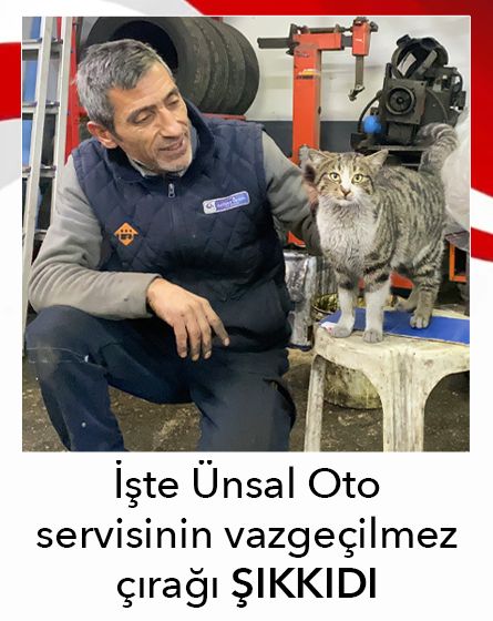 Bolu sanayisinin sevimli çırağı: Şıkkıdı görenleri gülümsetiyor