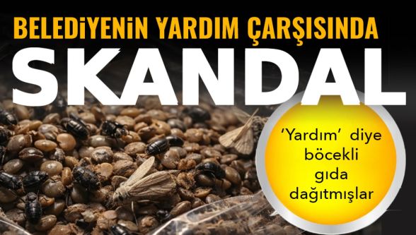 Belediyenin yardım çarşısında skandal: Gıdalardan böcek çıktı