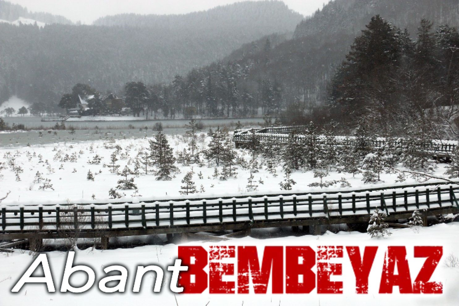 Abant Gölü Milli Parkı beyaza büründü