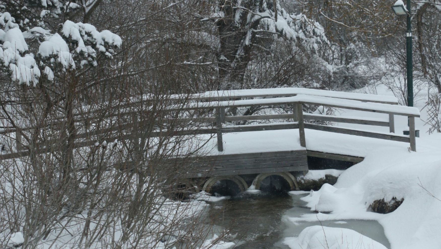 Abant Gölü Milli Parkı beyaza büründü
