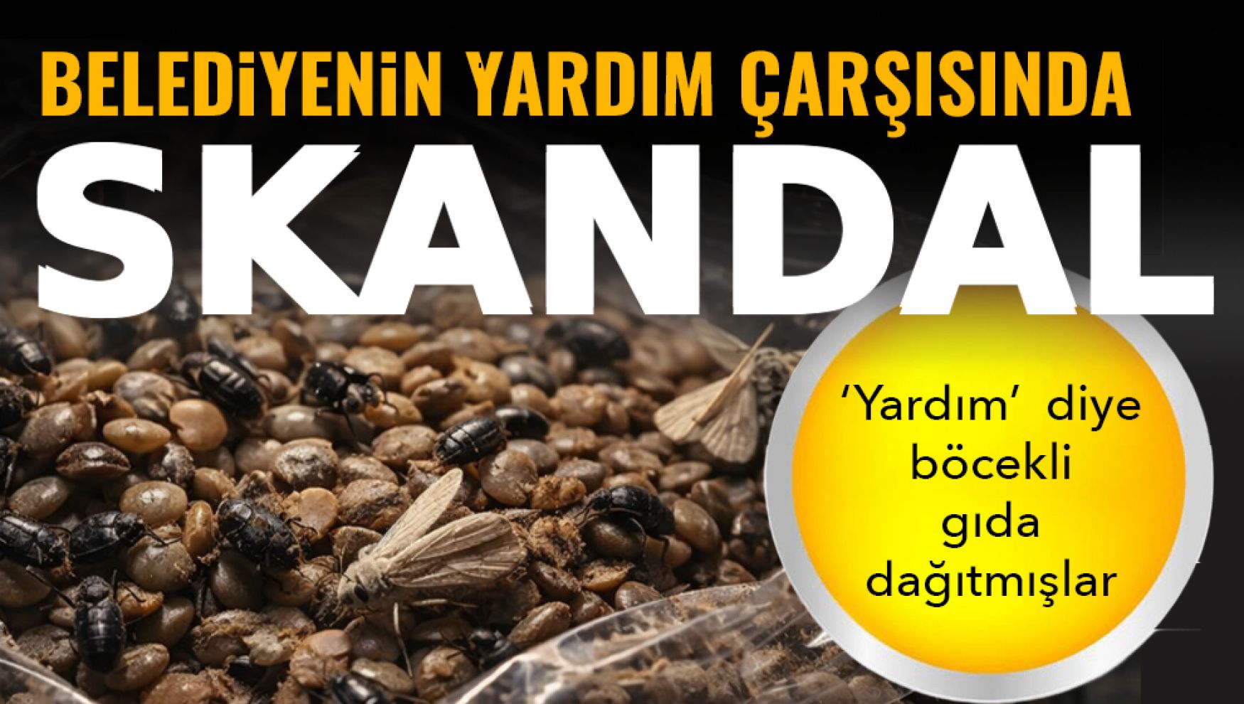 Belediyenin yardım çarşısında skandal: Gıdalardan böcek çıktı