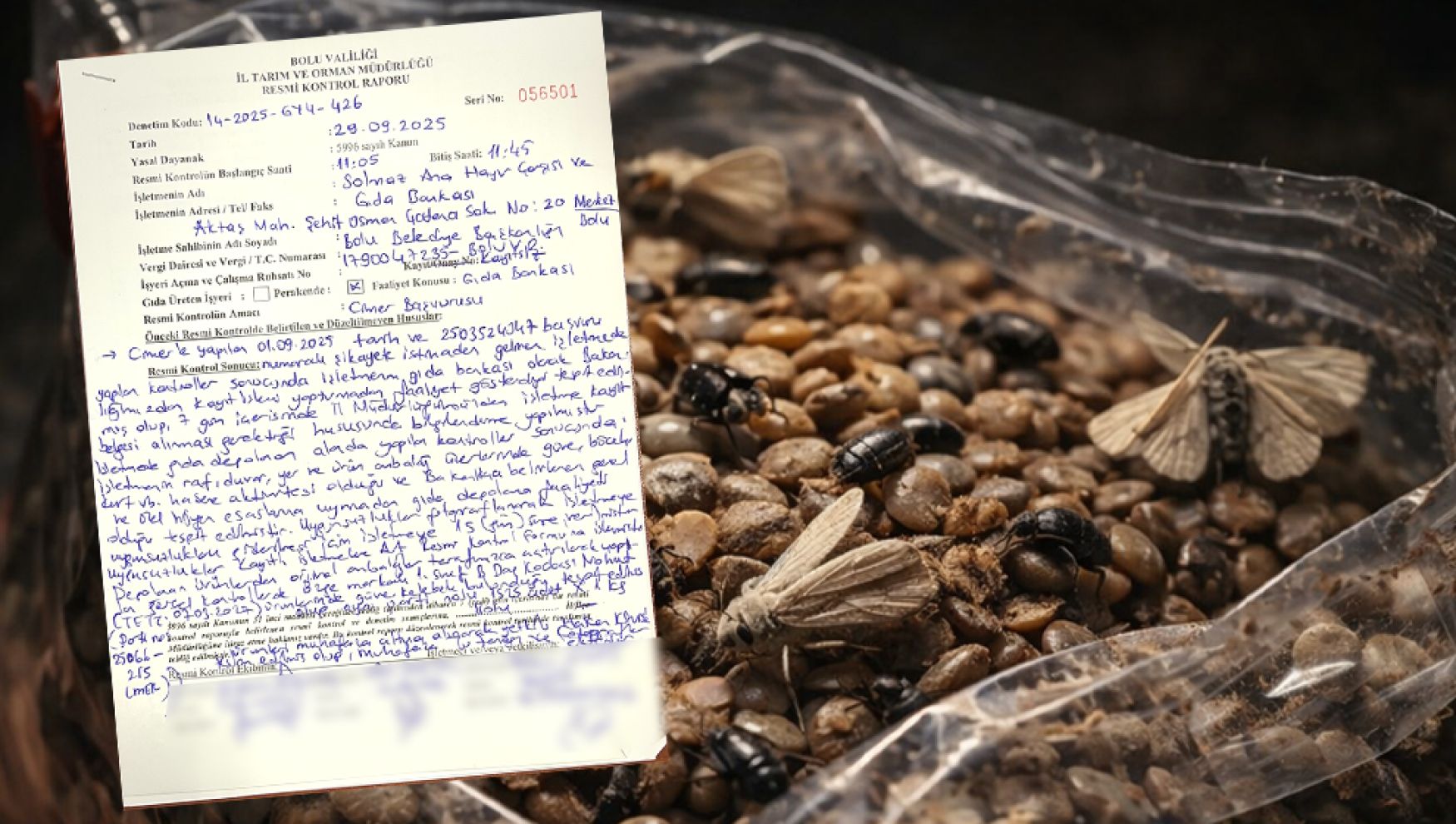 Belediyenin yardım çarşısında skandal: Gıdalardan böcek çıktı