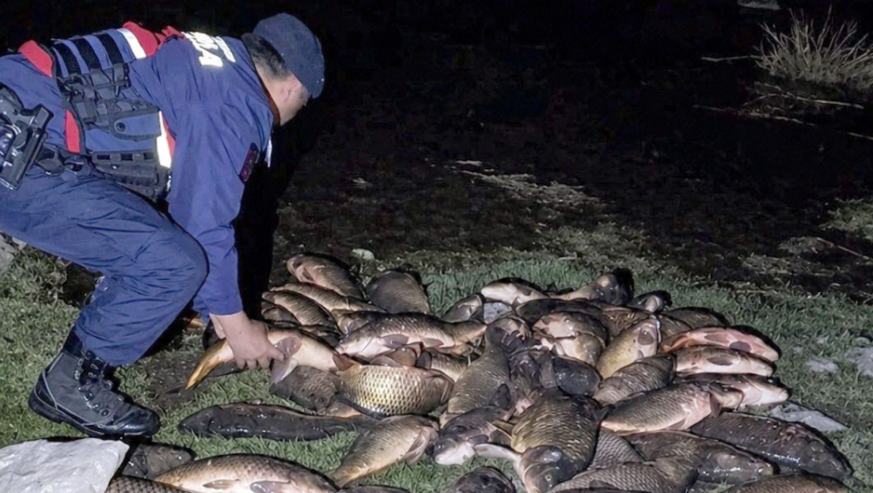 Vicdansızlık pes dedirtti ! Gölete ağ kurup balıkları katlettiler