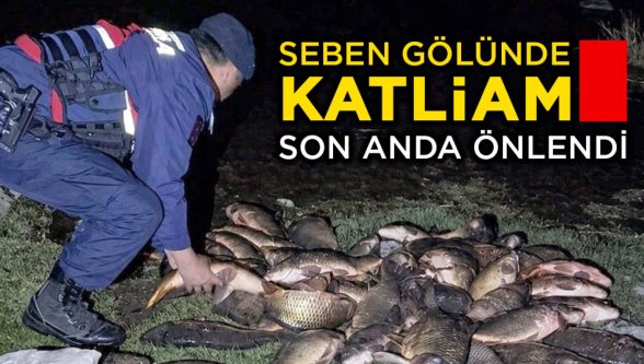 Vicdansızlık pes dedirtti ! Gölete ağ kurup balıkları katlettiler