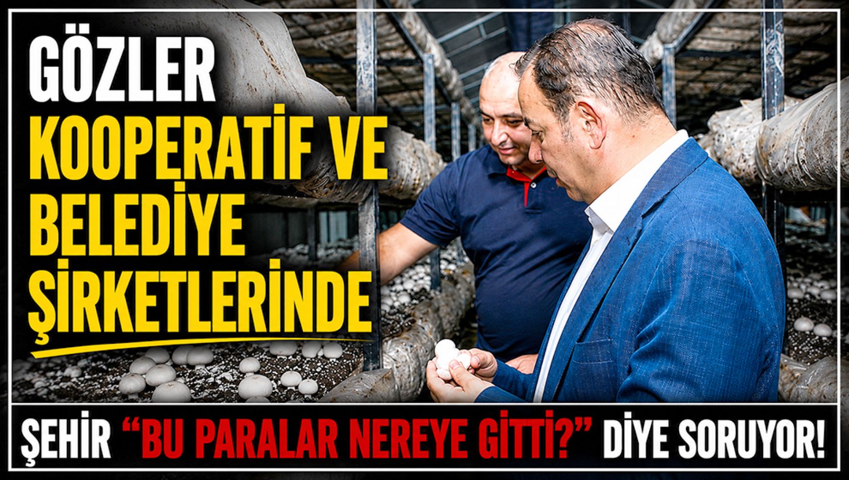 Bolu'da gözler şimdi kooperatif ve belediye şirketlerinde