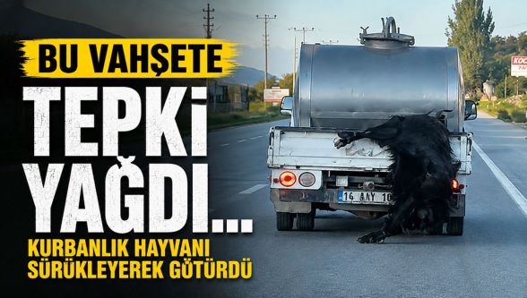 Canlı hayvanı aracın arkasına asıp kilometrelerce götürdü