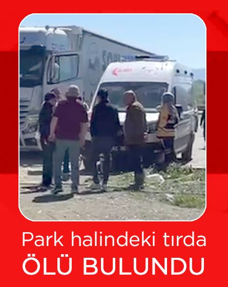 Park halindeki tırda ölü bulundu