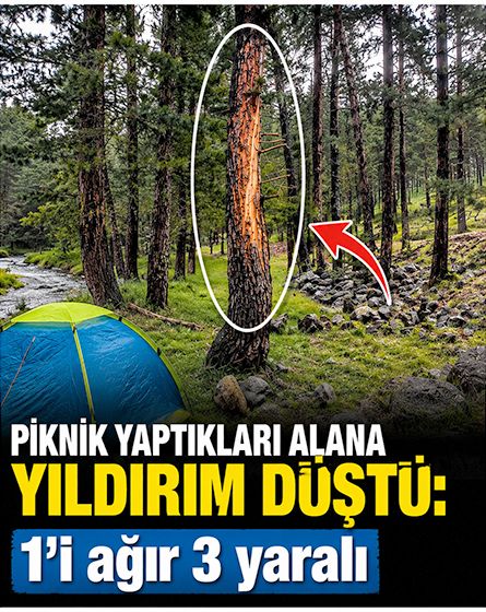Piknik yaptıkları alana yıldırım düştü: 1'i ağır 3 yaralı