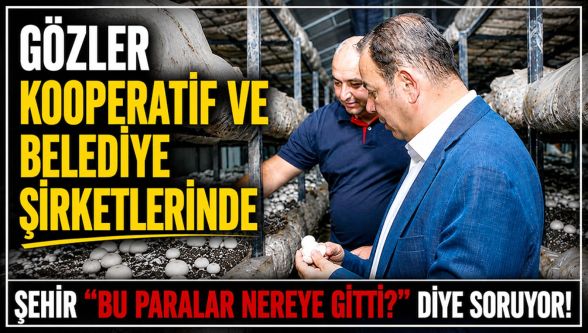 Bolu'da gözler şimdi kooperatif ve belediye şirketlerinde