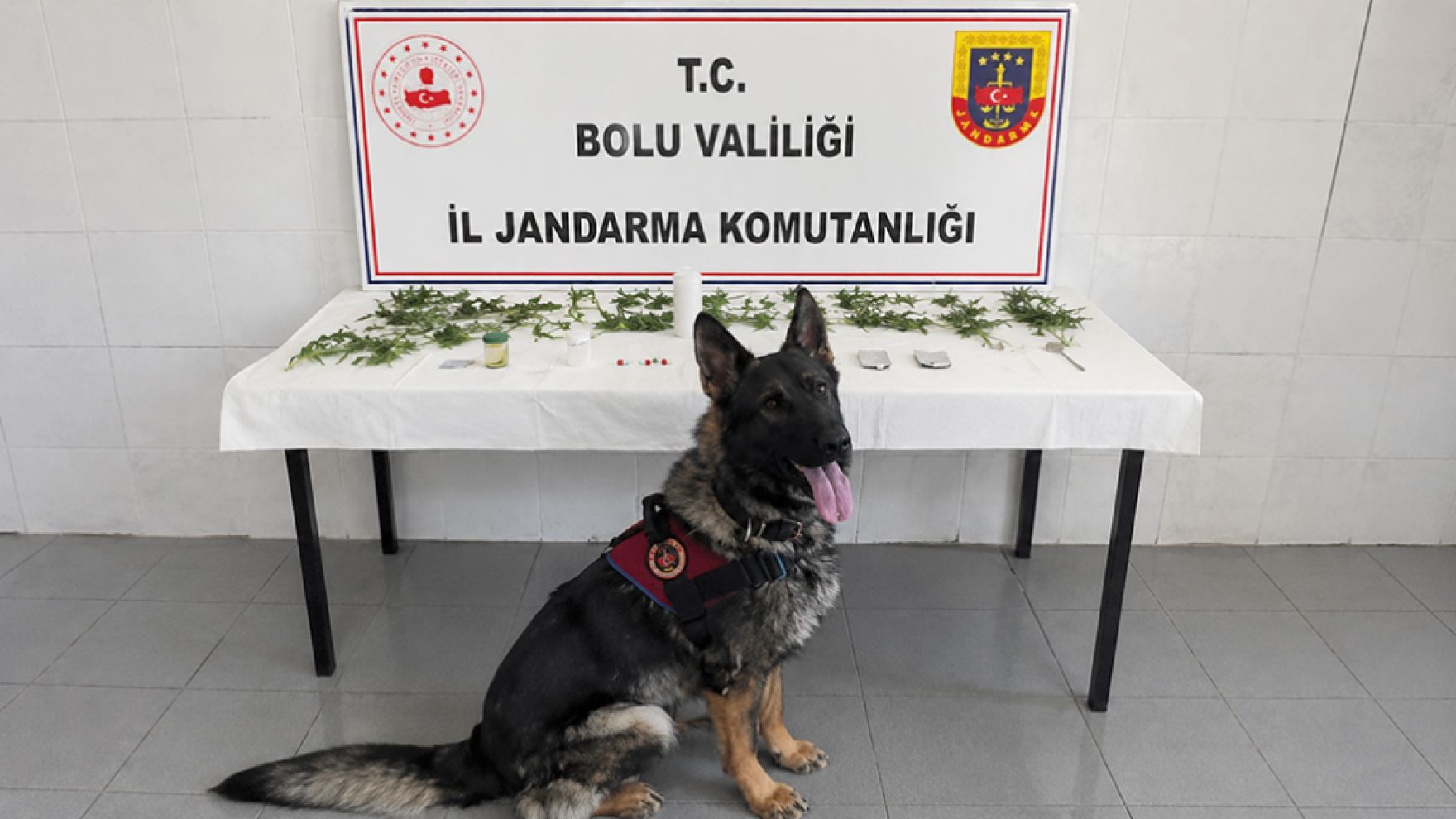 Bolu'da jandarmadan peş peşe operasyon: 3 tutuklama